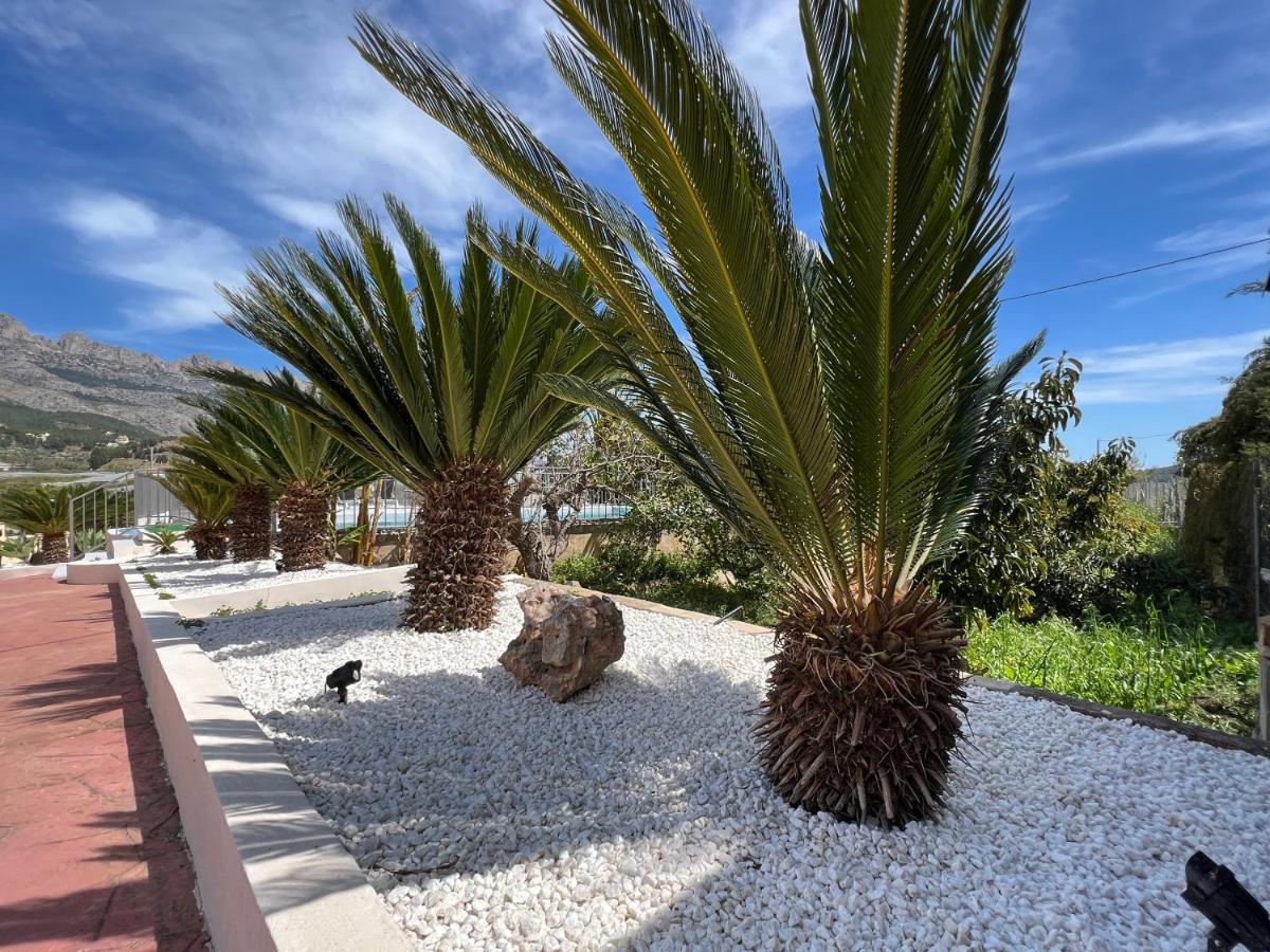 Casa Rural Altaret Callosa de Ensarriá Exterior foto